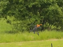 news-image