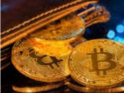 Вбивство українця у Відні: злочинці встигли вивести з криптогаманців хлопця 200 тисяч доларів