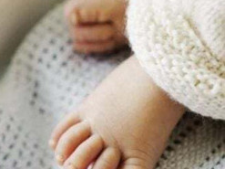 Жінку з Шепетівщини судитимуть за шахрайство у програмі «Муніципальна няня»