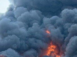 news-image