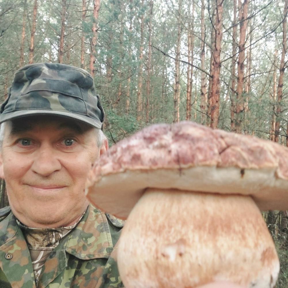Білого гриба вагою майже пів кілограма знайшли у лісі на Рівненщині (ФОТО)