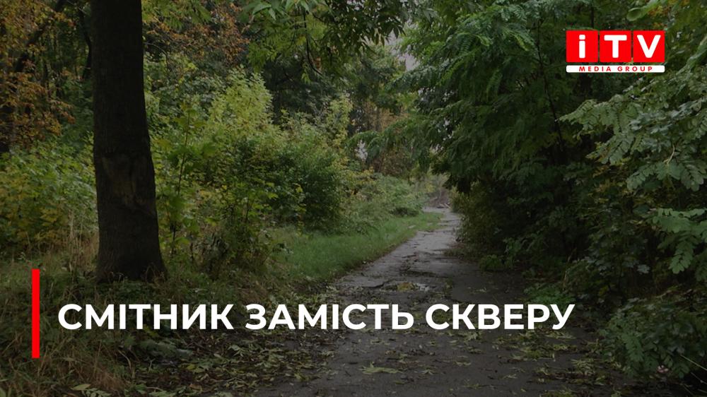 Сквер біля Басового Кута перетворився на чагарники: чи наведуть там лад? (ВІДЕО)