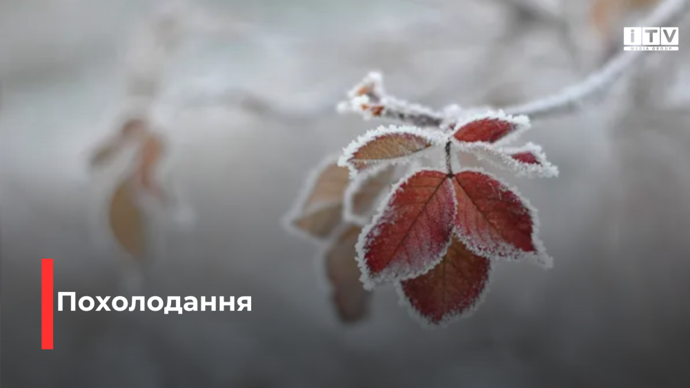 На Рівненщині прогнозують чотири градуси морозу