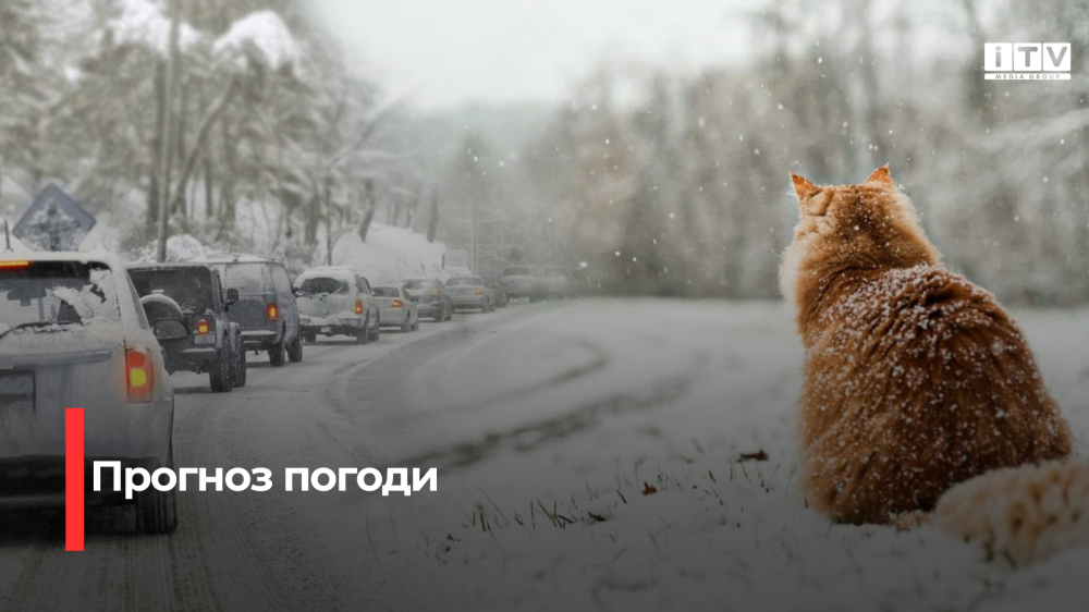 Сніг прогнозують на Рівненщині