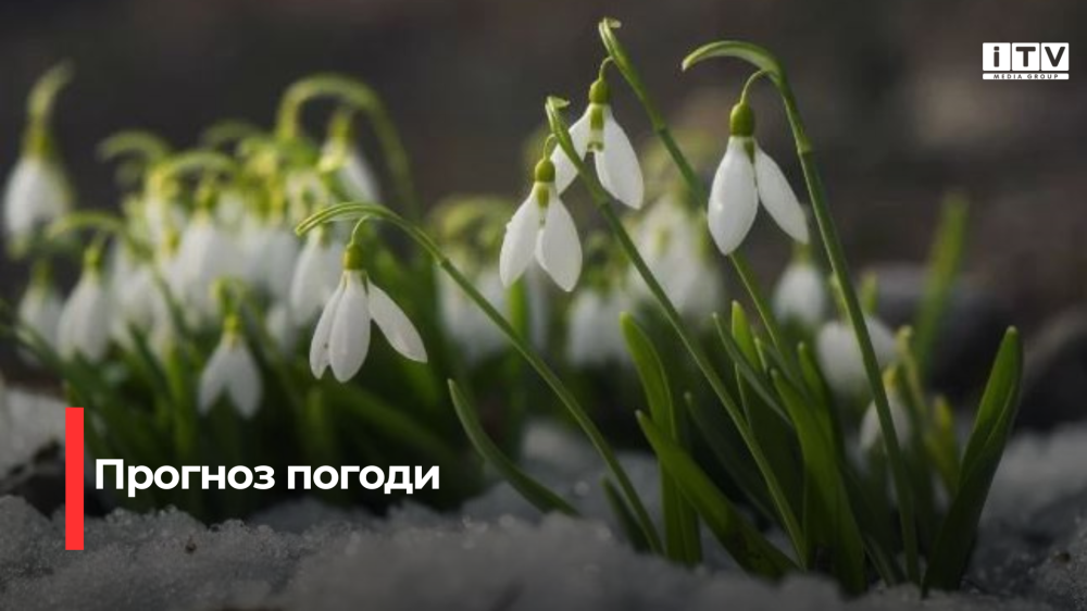 Відомо, якою буде погода у перший день весни у на Рівненщині