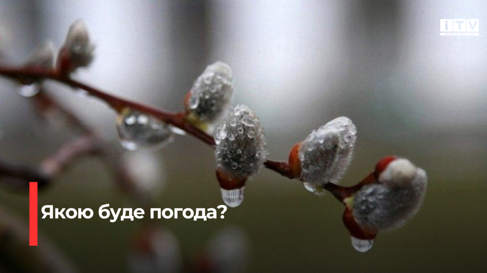 Мокрий сніг прогнозують синоптики на Рівненщині