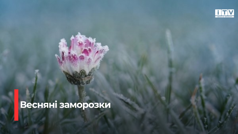 На Рівненщині прогнозують заморозки та 8 градусів тепла