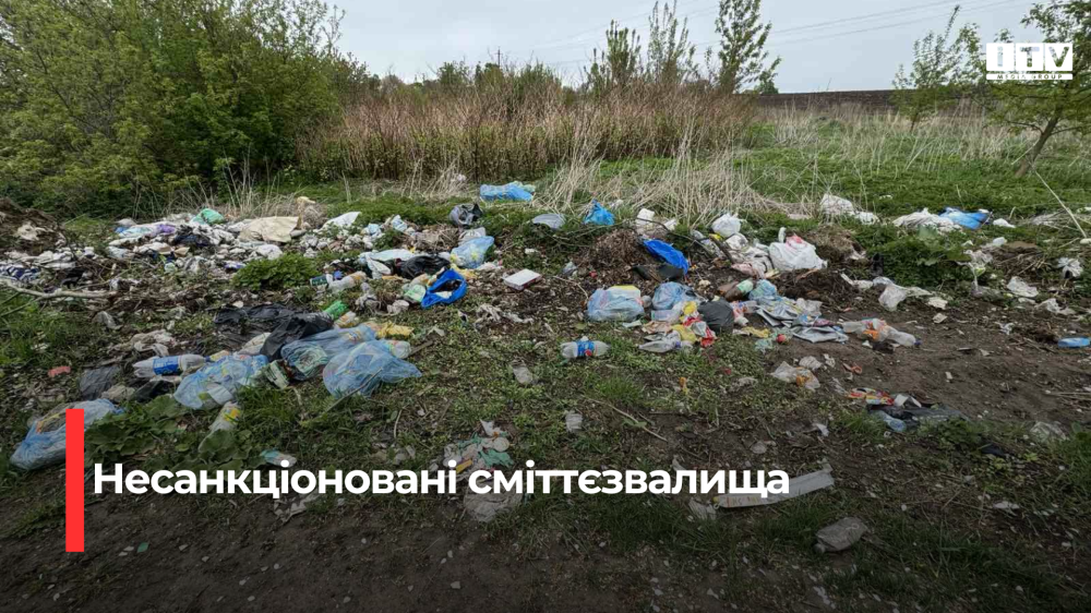 У громаді на Рівненщині виявили 8 несанкціонованих сміттєзвалищ
