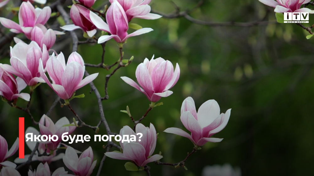 На Рівненщину знову повертається тепло