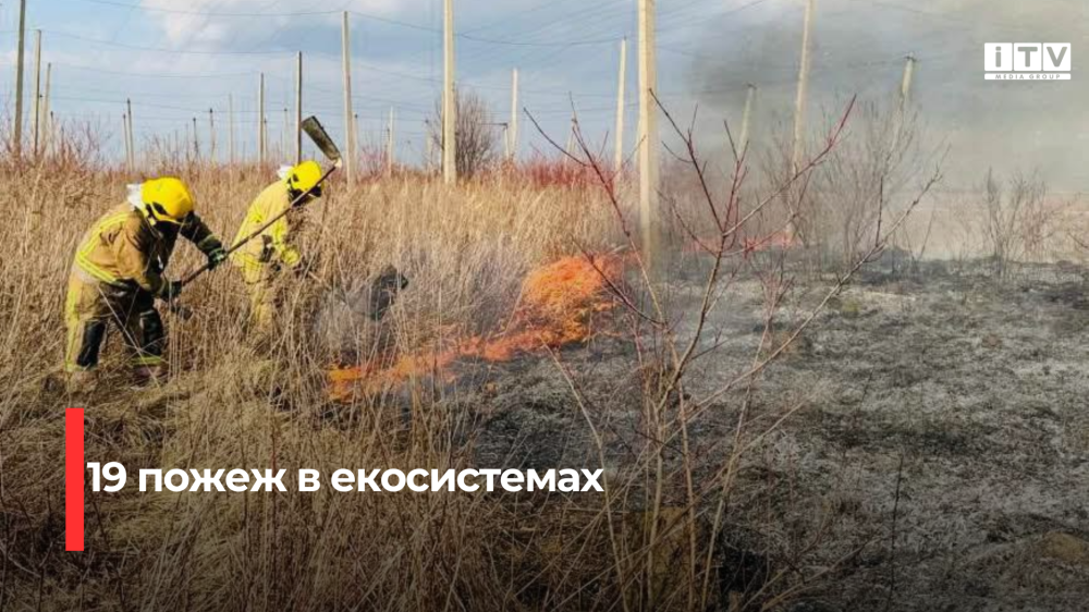 Понад 28 гектарів землі за добу згоріло на Рівненщині