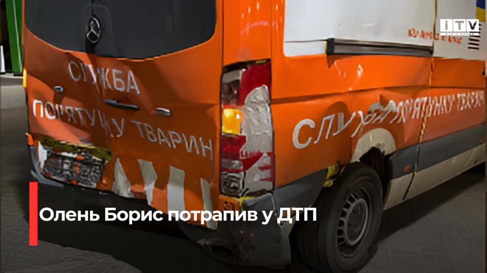 news-image