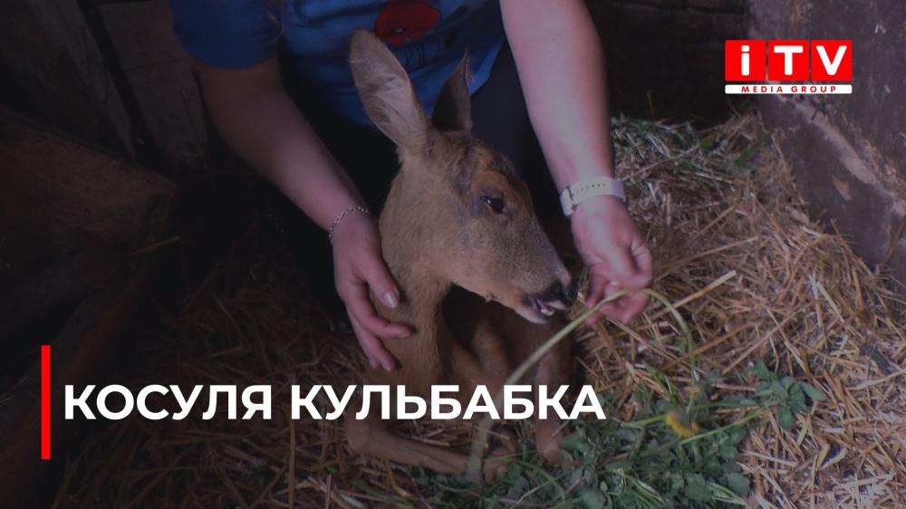 news-image