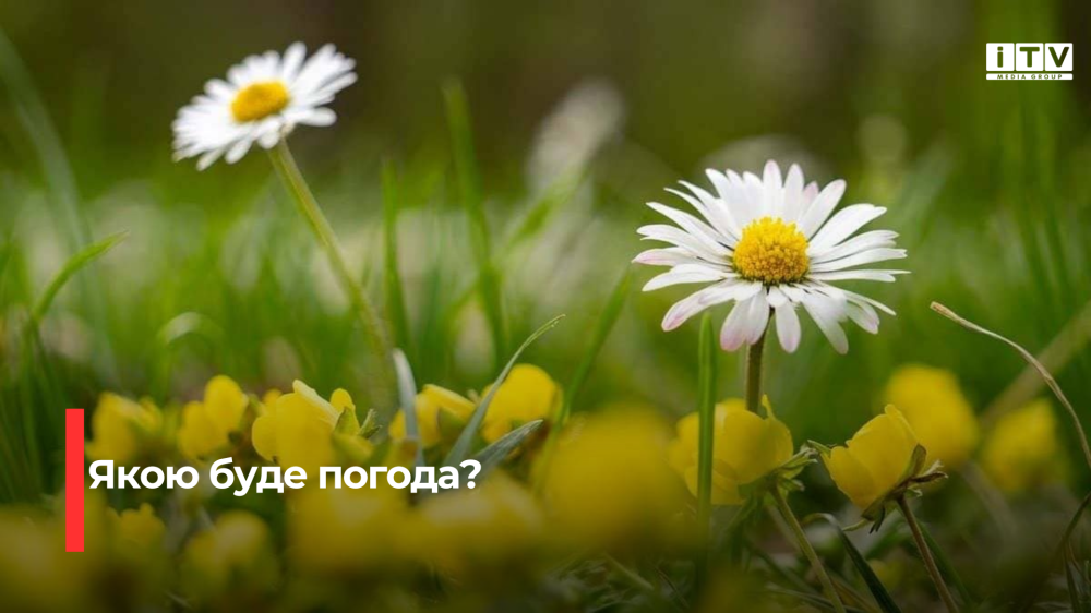 На Рівненщині прогнозують 25 градусів тепла