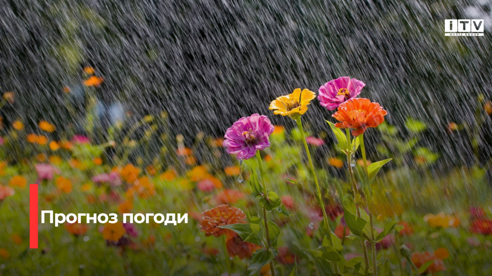 Короткочасний дощ прогнозують на Рівненщині