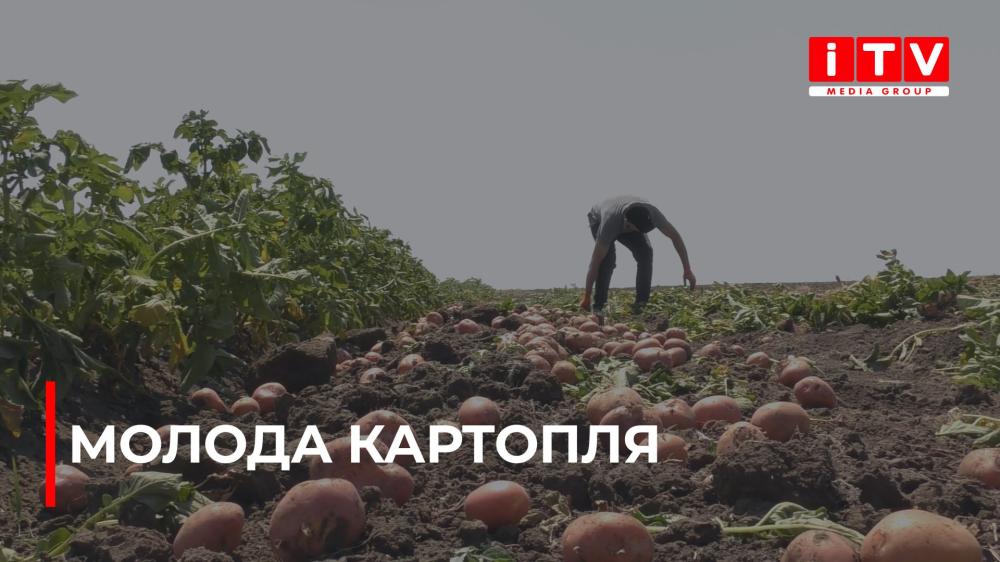 news-image