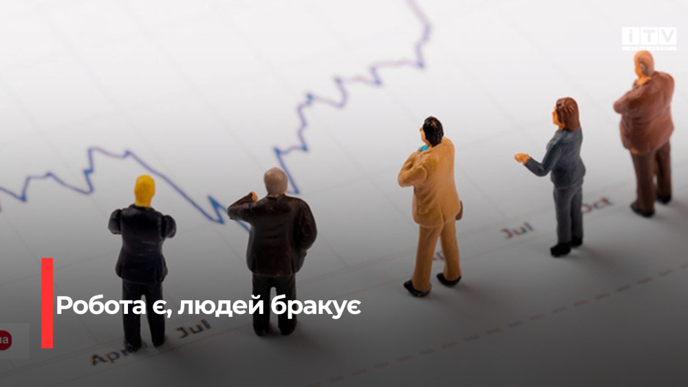 Ринок праці в цифрах: 235 тисяч вакансій та гострий дефіцит робітничих кадрів в Україні
