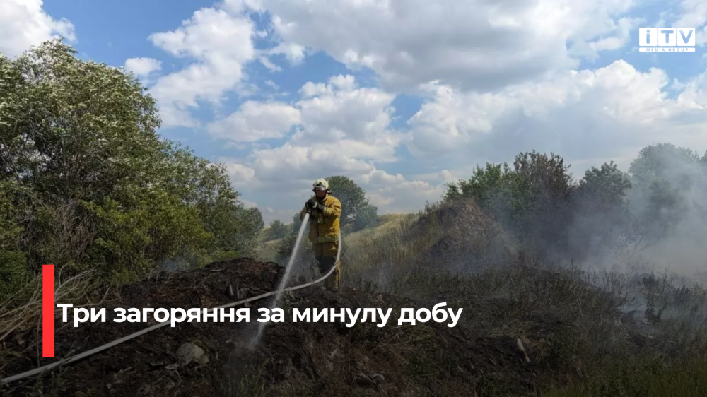 Три пожежі на Дубенщині за добу: рятувальники гасили стихійне сміттєзвалище та сухостій