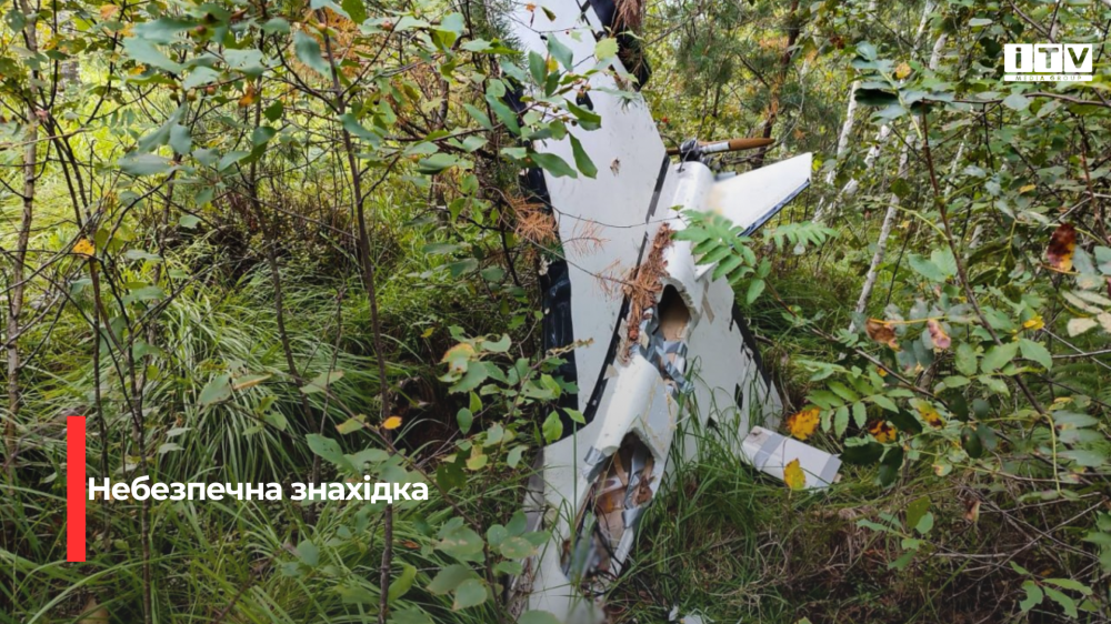 На Рівненщині працівник лісогосподарського підприємства виявив ворожий безпілотник