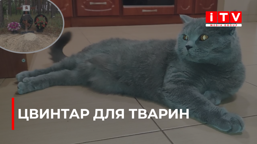 У Рівному пропонують створити кладовище для домашніх улюбленців (ВІДЕО)