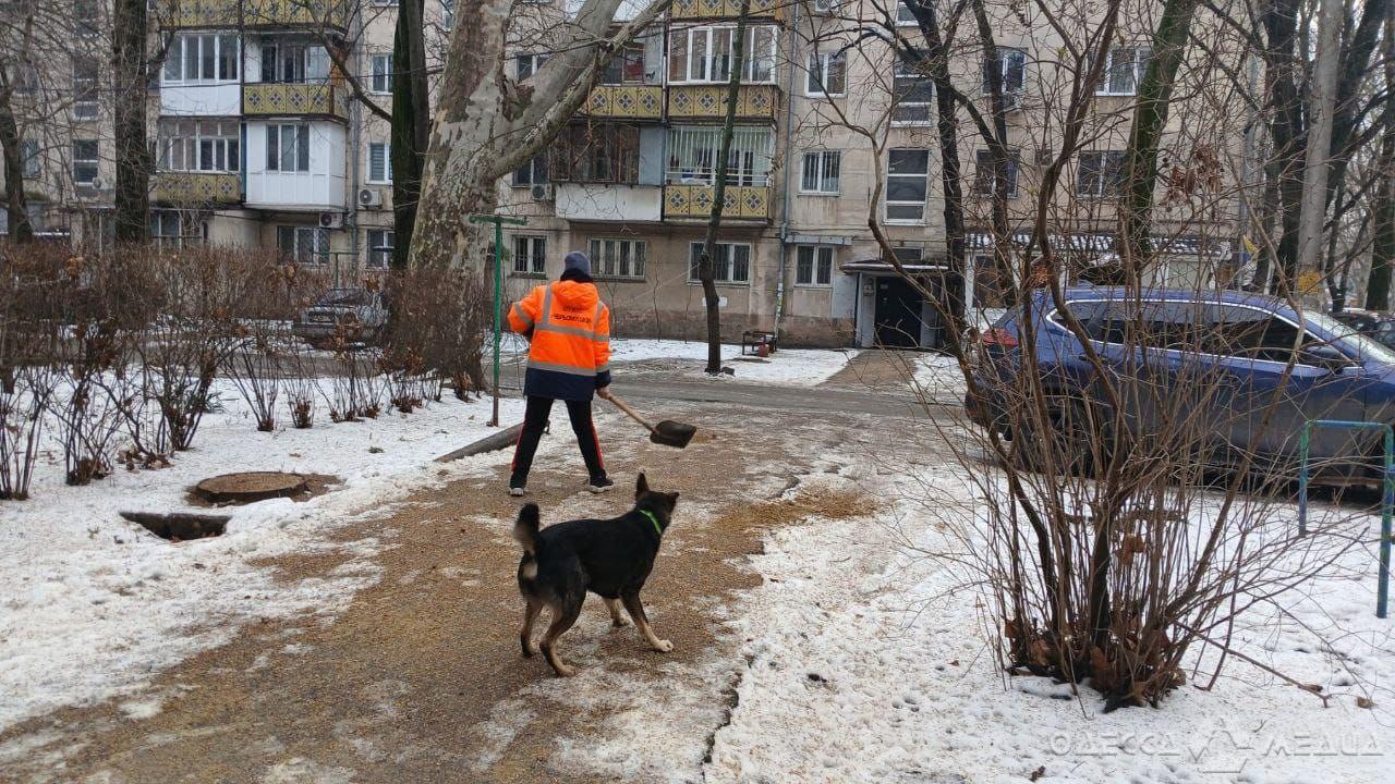 Одеські комунальники проводять протиожеледні роботи в усіх районах Одеси