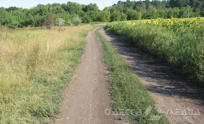 На Одещині заборонили рух транспорту по польових дорогах, що ведуть до кордону