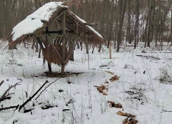 Працівники парку “Холодний Яр” підгодовують диких тварин