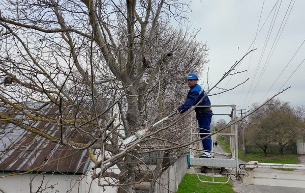 Щоб уникнути аварійних відключень: енергетики проводять розчистку повітряних ліній