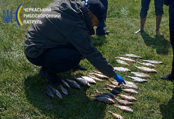 Виявлено грубе порушення правил рибальства на річці Рось