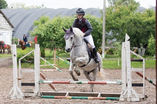 На Черкащині змагалися з кінного спорту з нагоди Олімпійського дня