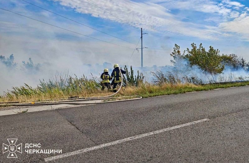 Суха рослинність горіла вчора в кожному районі області