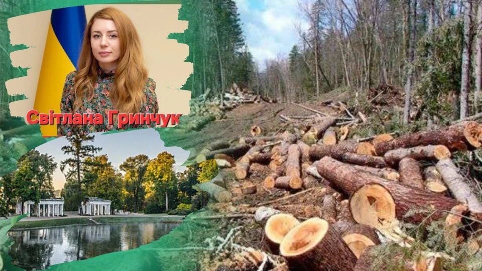 Скандал у "Олександрії": КЕКЦ домігся відкриття кримінальної справи за незаконну рубку дерев