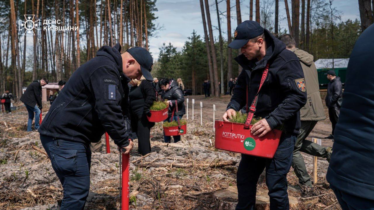Виїзна нарада: розмінування територій та відновлення лісів після окупації