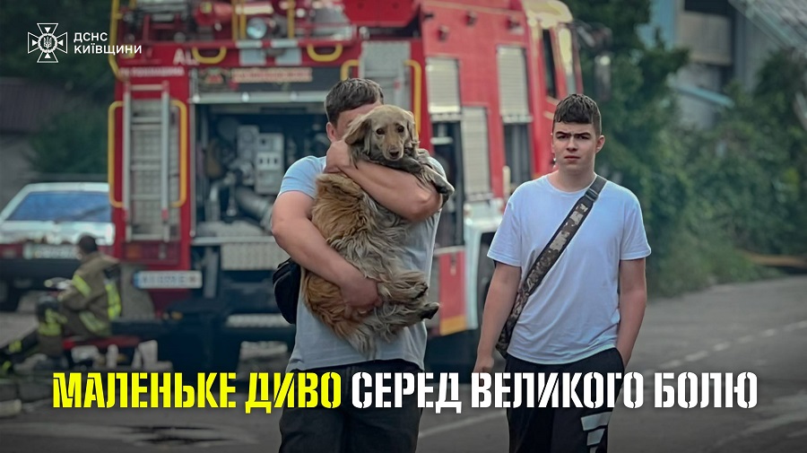 news-image
