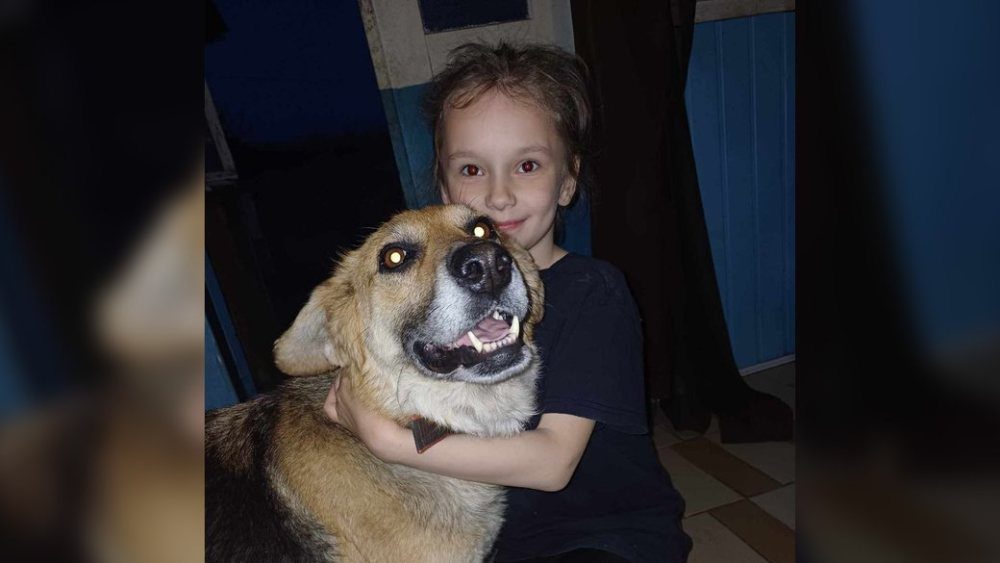 Собаку, якого у виснаженому стані забрали від жителя Носівки, передали у нову родину