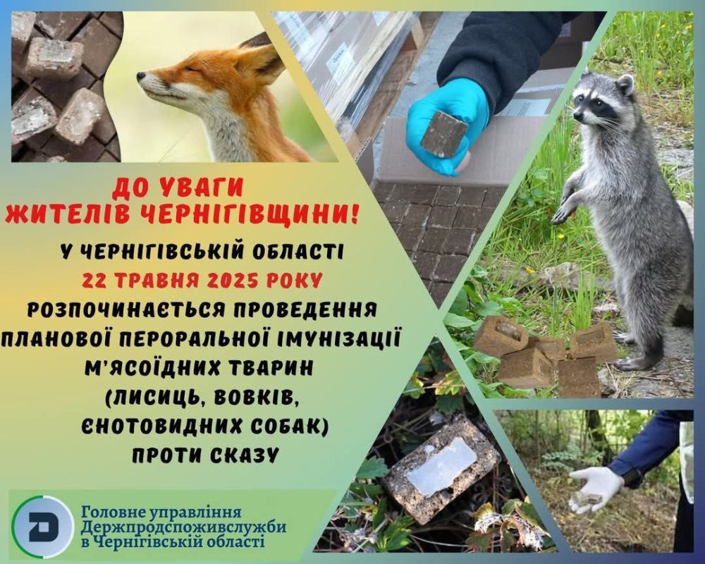 На Чернігівщині стартує весняна кампанія з імунізації диких тварин проти сказу
