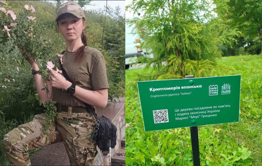 Чернігівська земля для Марини Гриценко: дерево пам’яті у Львові