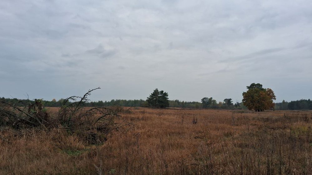 Тут колись було життя…