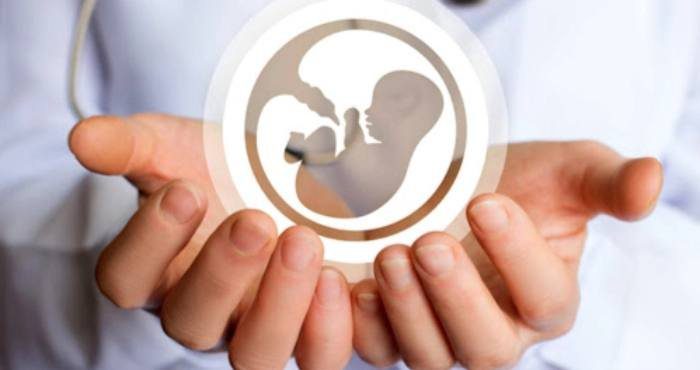В Україні запрацювала програма безоплатного лікування безпліддя за допомогою ЕКЗ