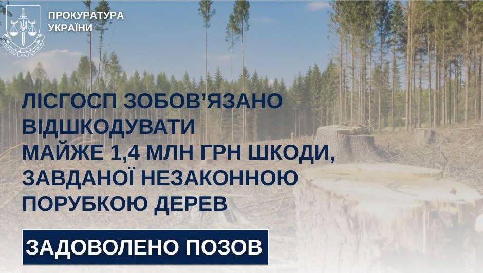 159 незаконно зрубаних дерев: лісгосп заплатить 1,4 млн грн