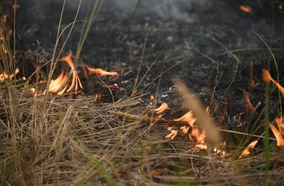 На окупованій Луганщині минулої доби сталося 6 пожеж, загинула людина