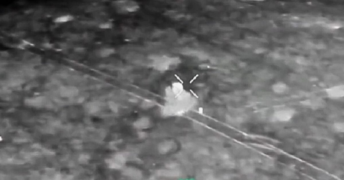 Луганські прикордонники показали, як дронами нищили та ранили російських окупантів (відео)