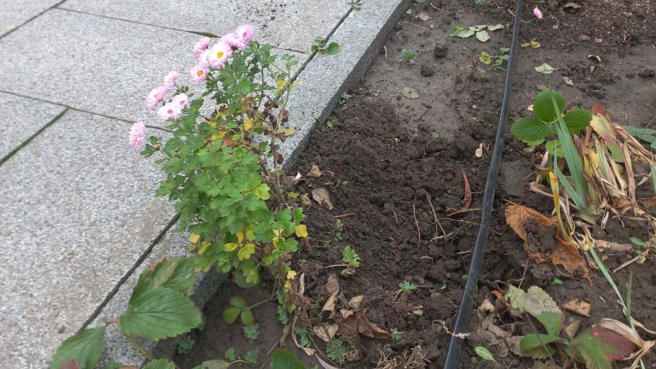 Вандалізм на Божому подвір’ї: настоятель Тальнівського Петропавлівського храму звертається до совісті містян