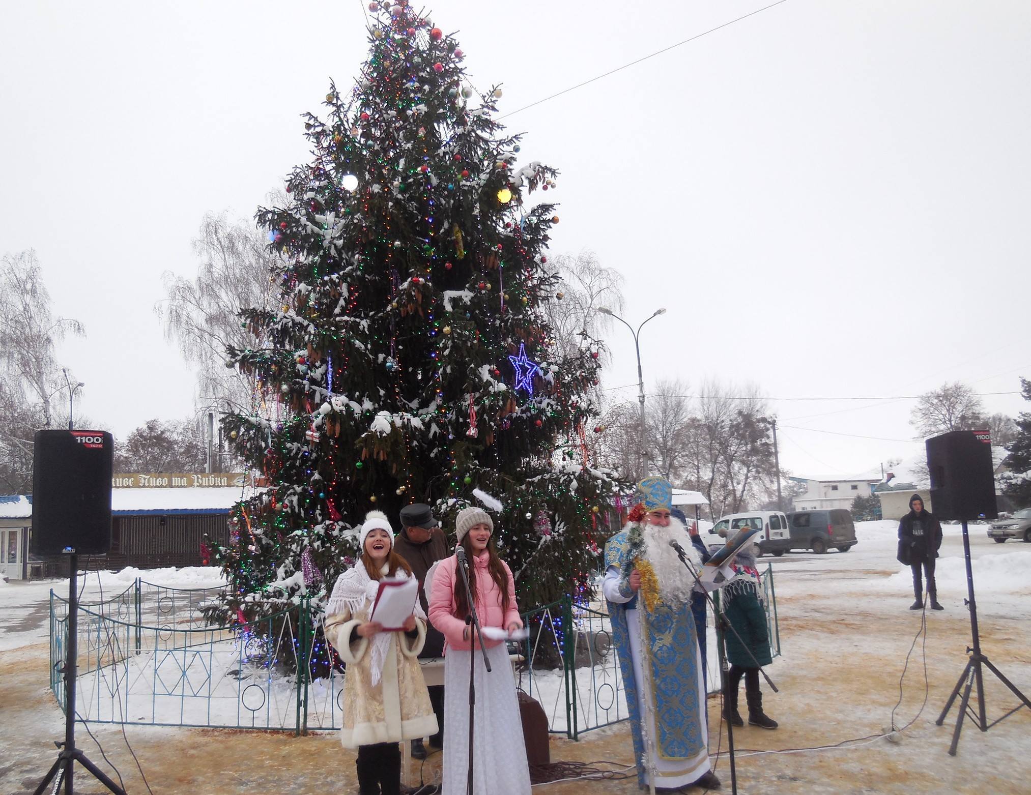 На Звенигородщині розпочались дебати, чи потрібна ялинка