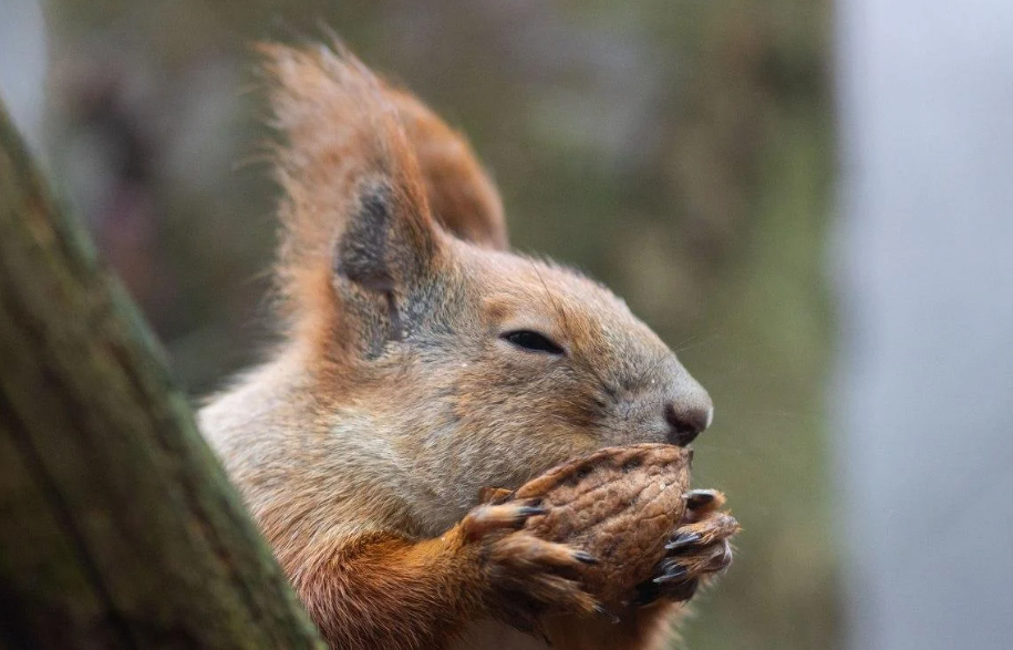 Мороз до -14, снег и гололед: прогноз на 11 января