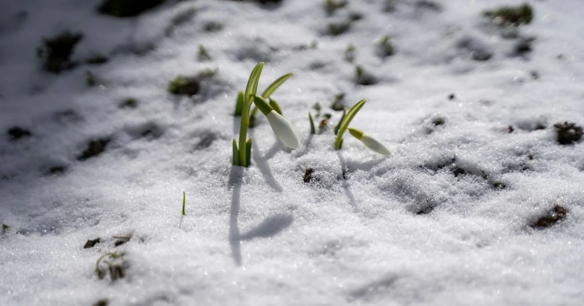 Прогноз погоды на март: вернутся ли морозы