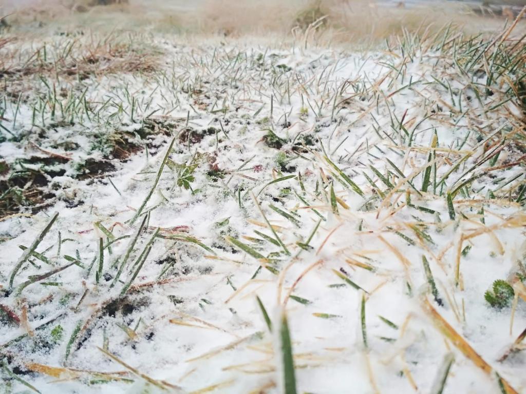 Украинцев предупредили о серьезном похолодании. Ряд регионов засыплет мокрым снегом