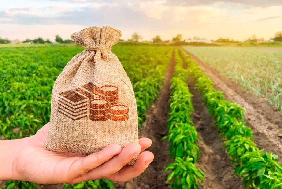 Мінекономіки звітує про “Доступні кредити 5-7-9%”: статистика