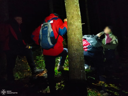 Турист хотів піднятися на Говерлу, але злякався диких звірів та заблукав