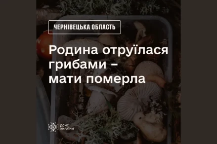 Мати померла, батько й син у лікарні: на Буковині сімʼя отруїлася грибами