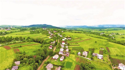 news-image